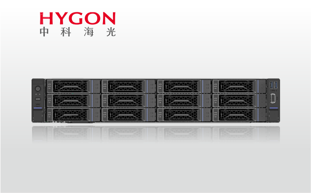 金品 KU 2112-H34 海光单路服务器